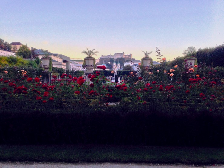 My reading spot in the rose garden in Mirabell Gardens in Salzburg. You can see the fortress in the background.