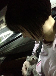 Adopting a cat. #Adulting