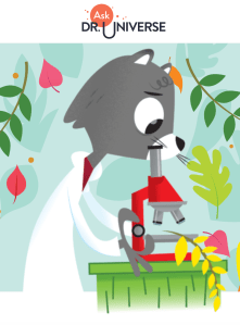 Screen Shot 2019-05-26 at 11.11.15 PM